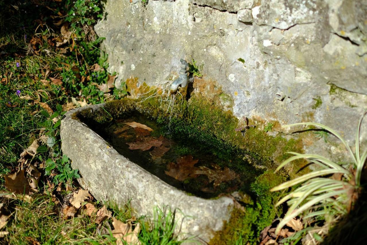 Villa Il Sorriso Bivigliano Dış mekan fotoğraf